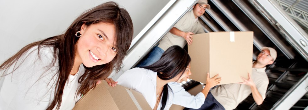 Professional Removalists Mollymook Beach